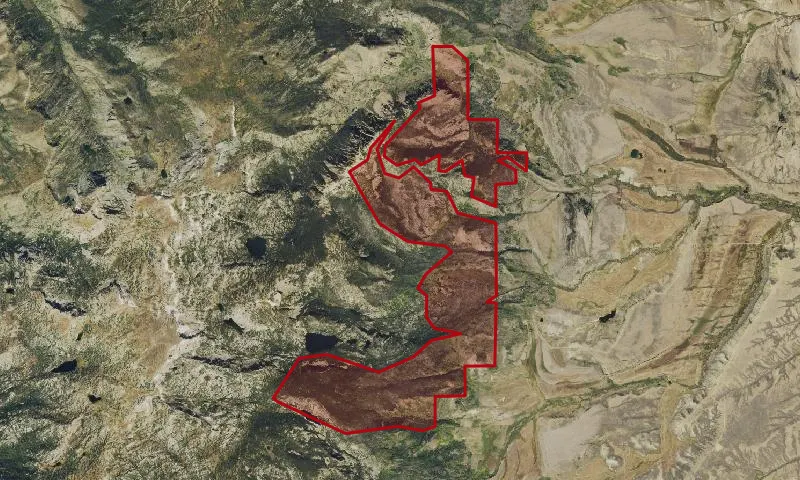 Grizzly Helena Roadless Area