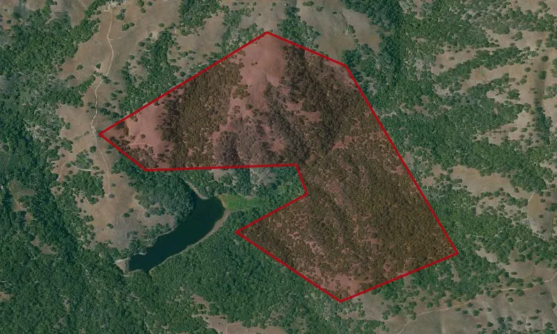 Upper Penitencia Creek Property