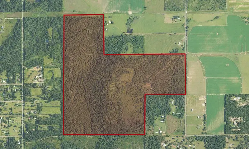 Baldwin State Forest