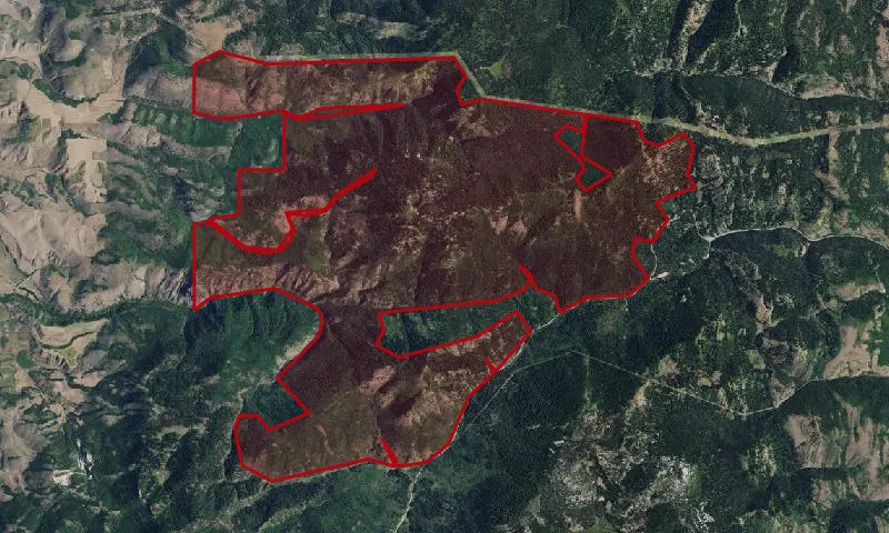 Williams Creek Roadless Area