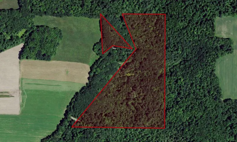 Arkport Village Land
