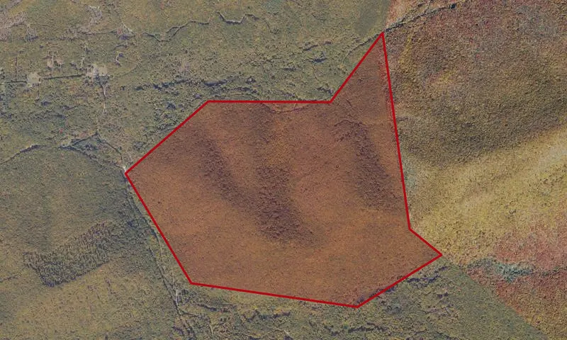 Mountain Lake Addition C Roadless Area