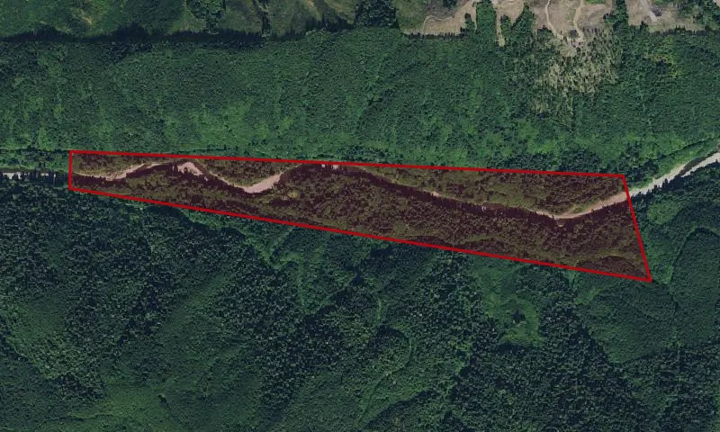 South Fork Calawah Botanical Area