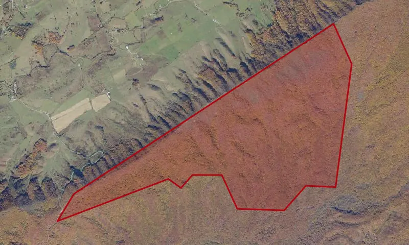 Beartown Addition A Roadless Area