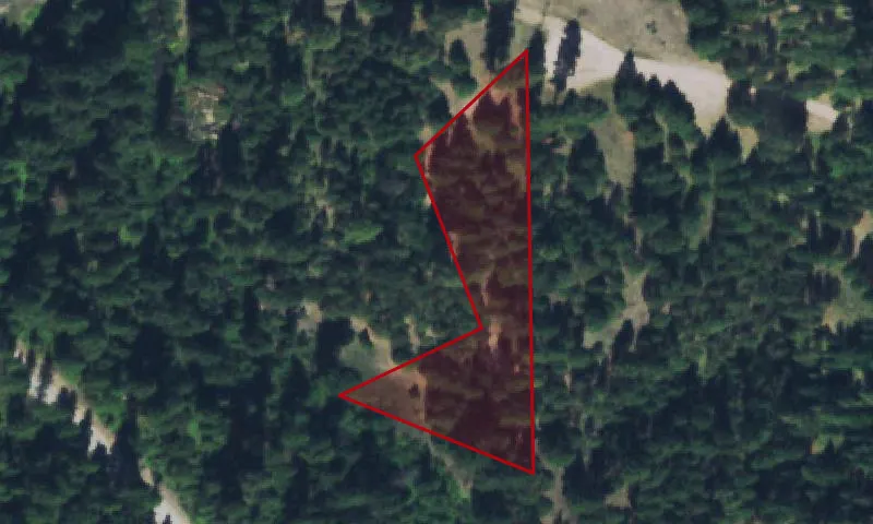 Belmont Creek Fishing Access Site