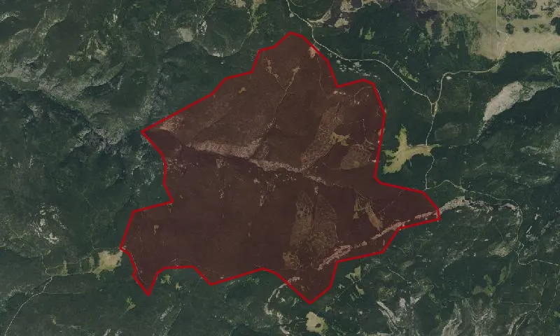 Tenderfoot Creek Experimental Forest
