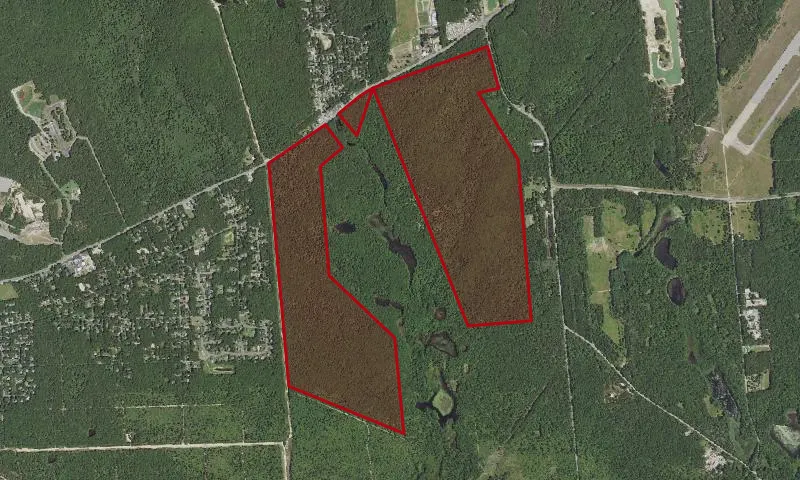 Peconic River Headwaters