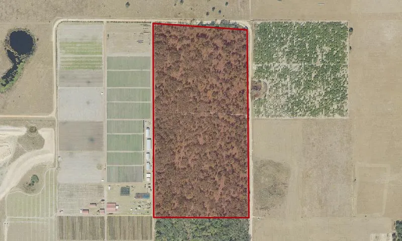 Schofield Tract