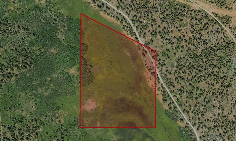 Quamasia Quamash Botanical Area