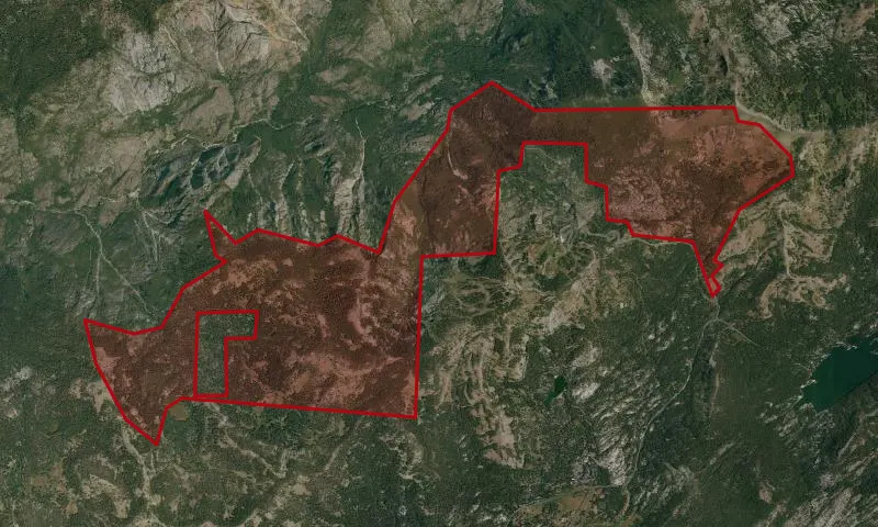 Mt. Reba Roadless Area