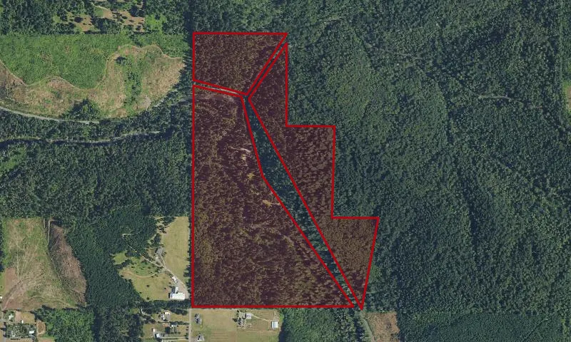 Eagle Fern Park
