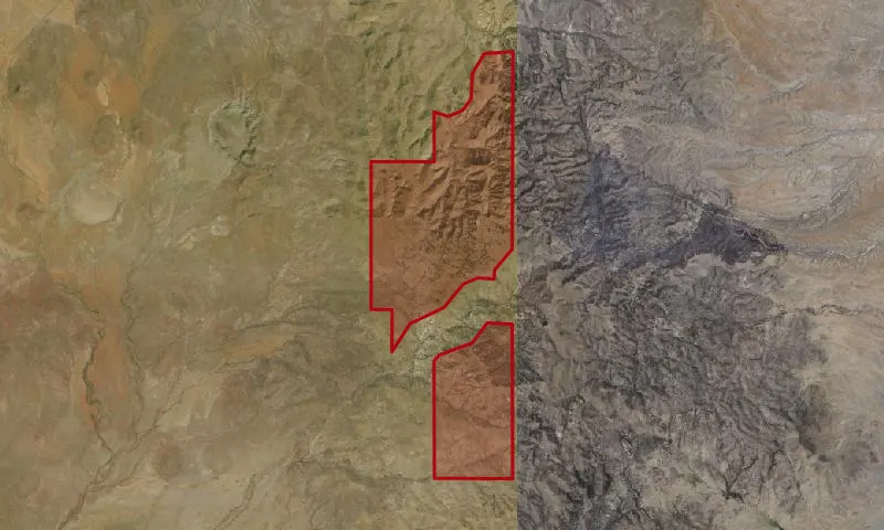 Peloncillo Roadless Area