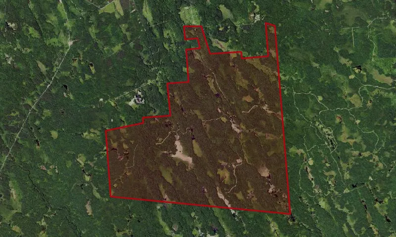Tug Hill Wma