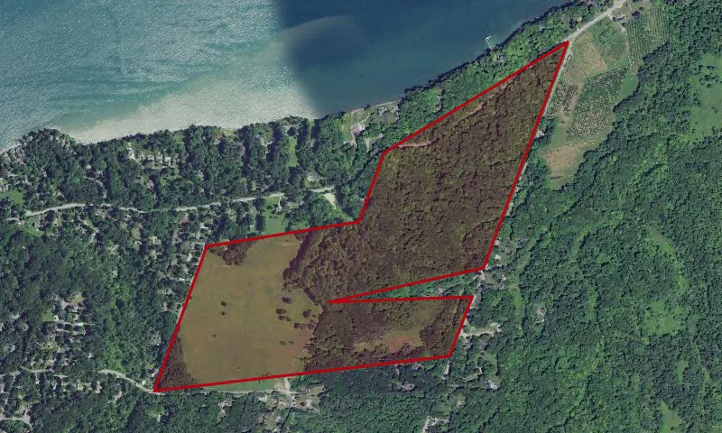 Gosnell Big Woods Preserve