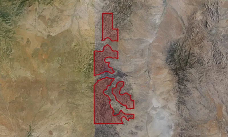 Peloncillo Roadless Area