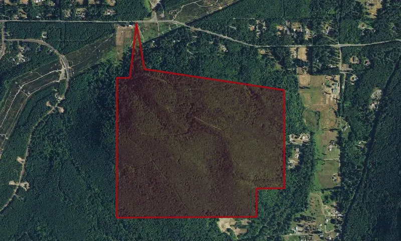 Sugarloaf Mountain Forest
