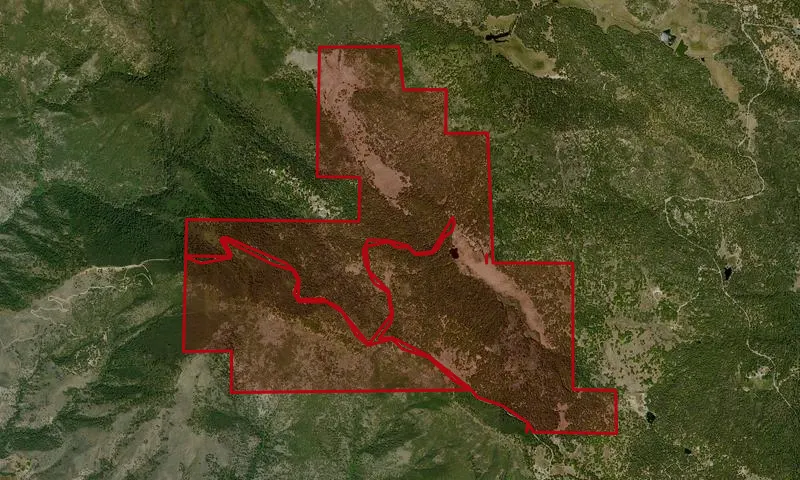 Palomar Mountain State Park