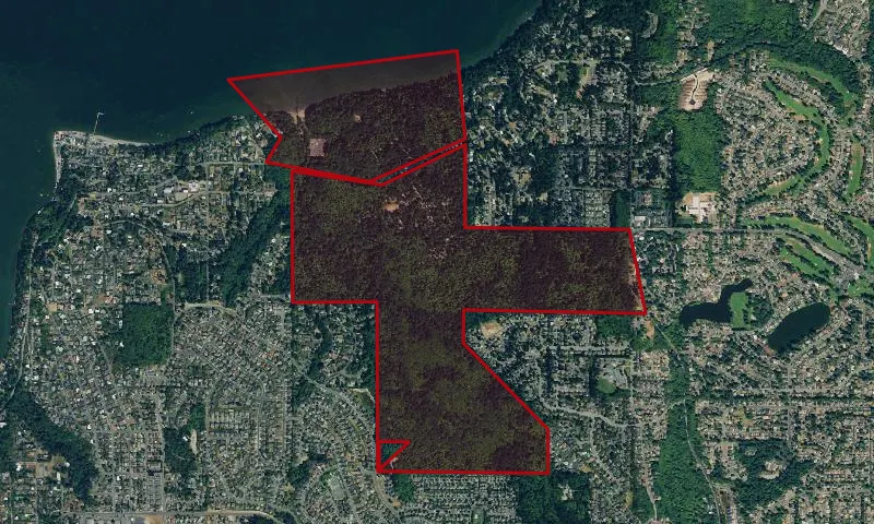 Dash Point