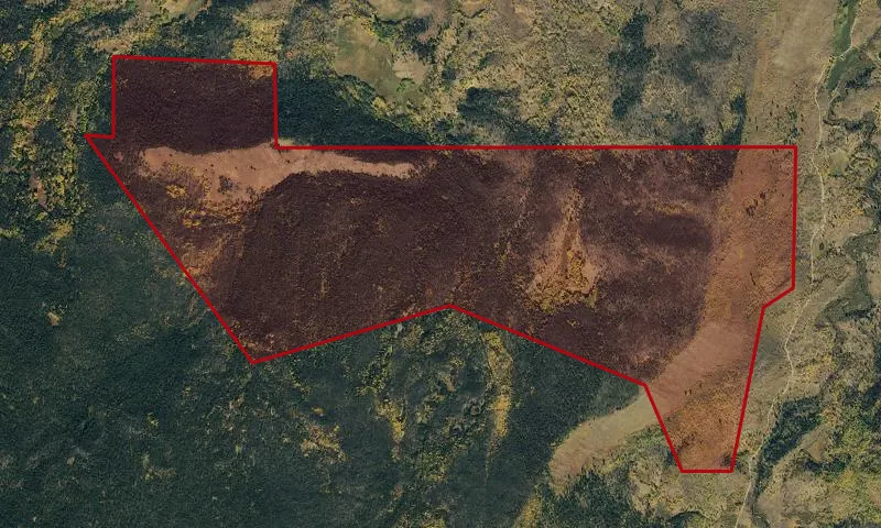 Black Lake West Roadless Area