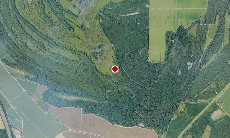 Mathews Brake National Wildlife Refuge