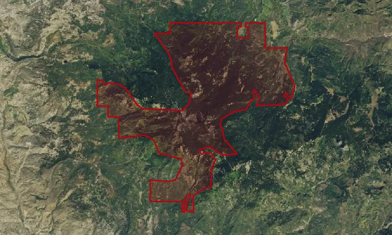 Black Mountain Roadless Area