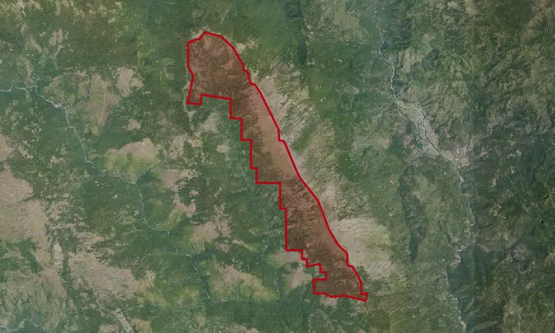 Pilot Creek Roadless Area