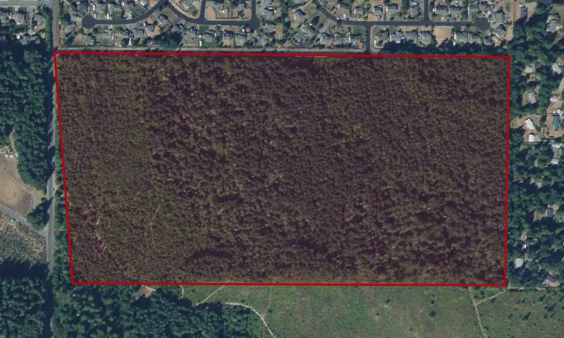 Future Buckley - Bonney Lake Park