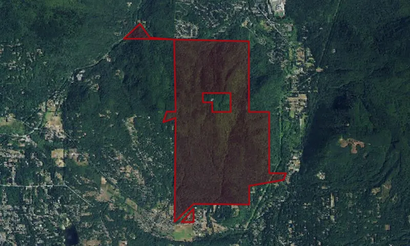 Squak Mountain