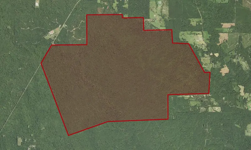 Turkey Hill Wilderness
