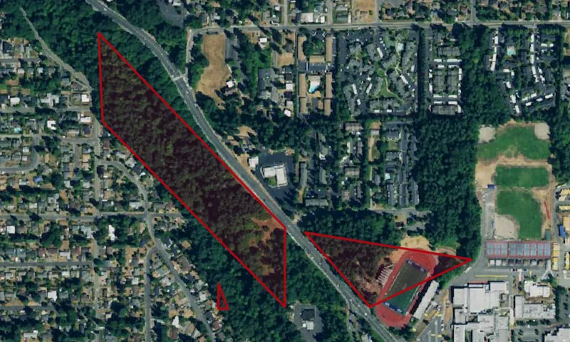 Triangle Park