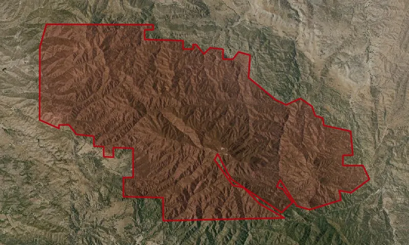 Black Mountain Roadless Area