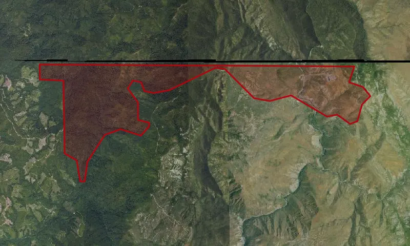 Packsaddle Roadless Area
