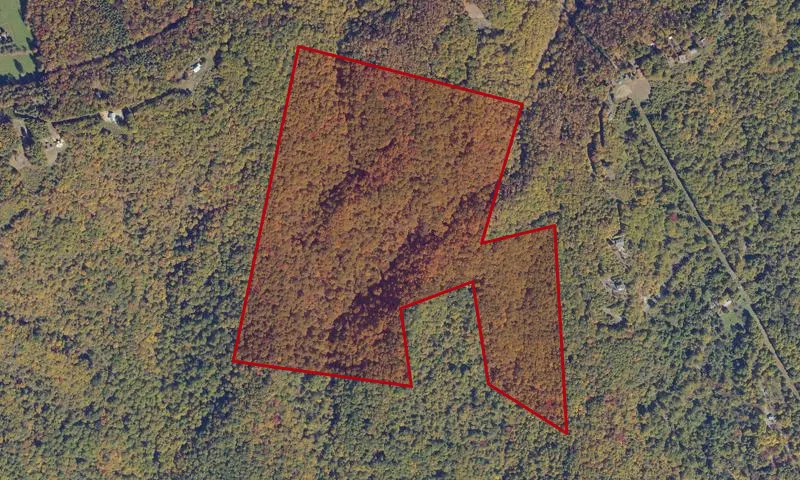 Hawks State Forest