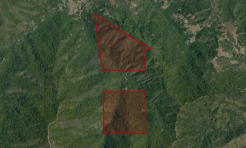 Barrett Canyon