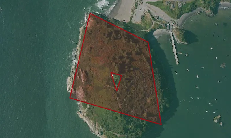 Trinidad holding 1