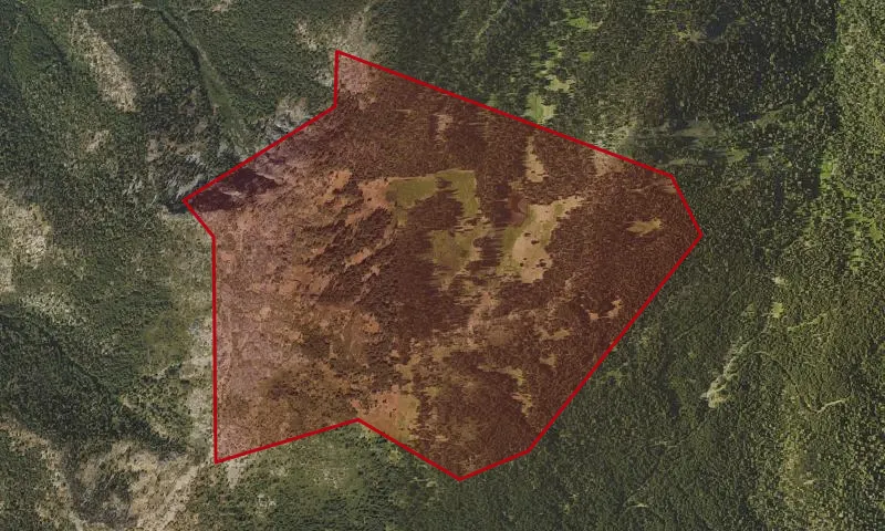 Hinkle Lake Botanical Area