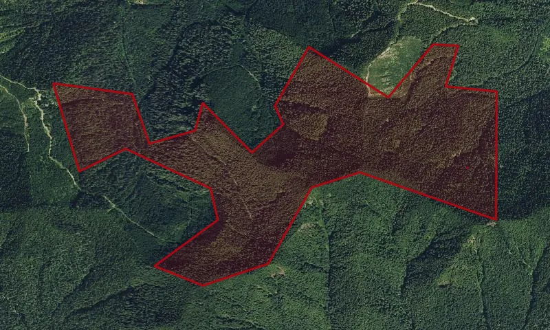 Pine Mountain Botanical Area