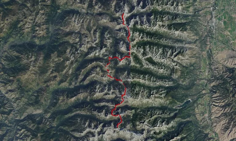 Nezperce National Forest