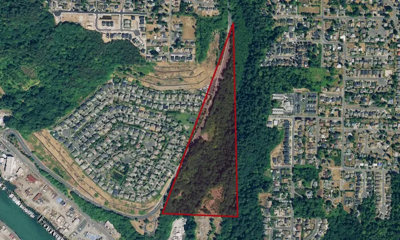 Julia's Gulch