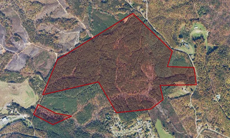 Wetland Mitigation Area