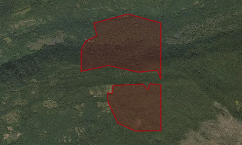 Gold Creek Roadless Area