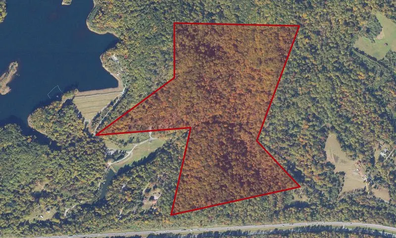 Heyward Community Forest