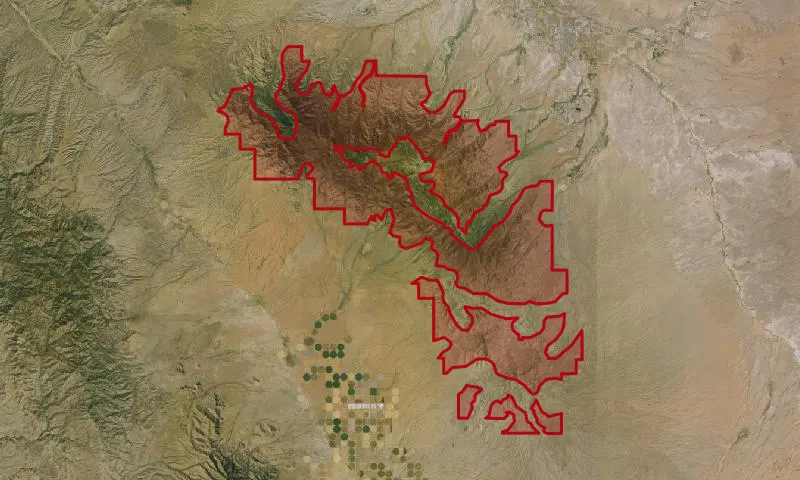 Pinaleno Roadless Area