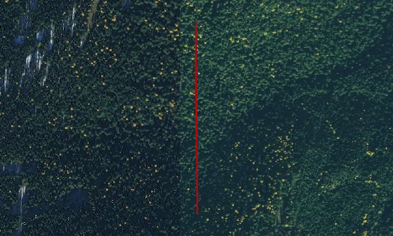 Salmo-Priest Wilderness