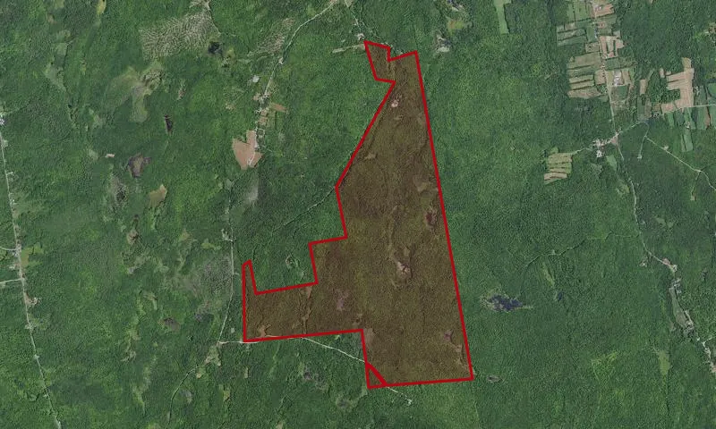 Lewis Preserve Wma