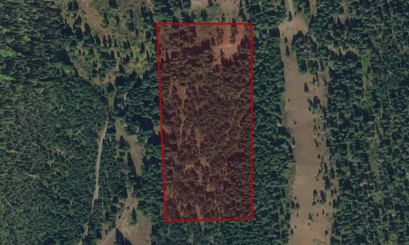 Cougar Basin Recreation Area