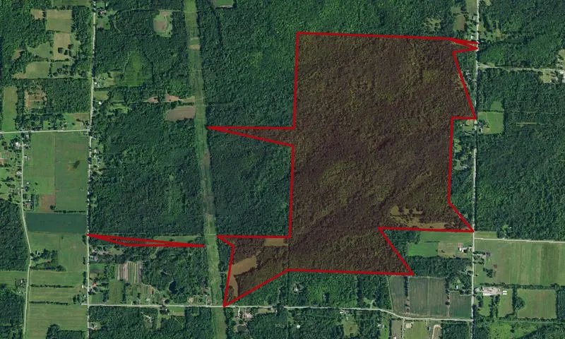 Hartland Swamp Wma