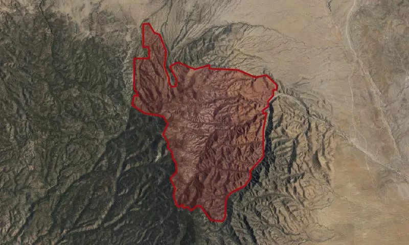 Withington Wilderness