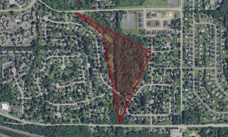 Beechwoods Park