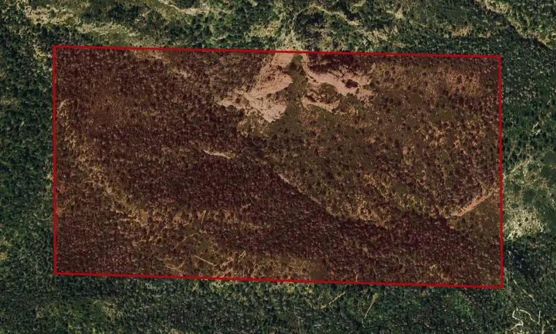 Newman Property
